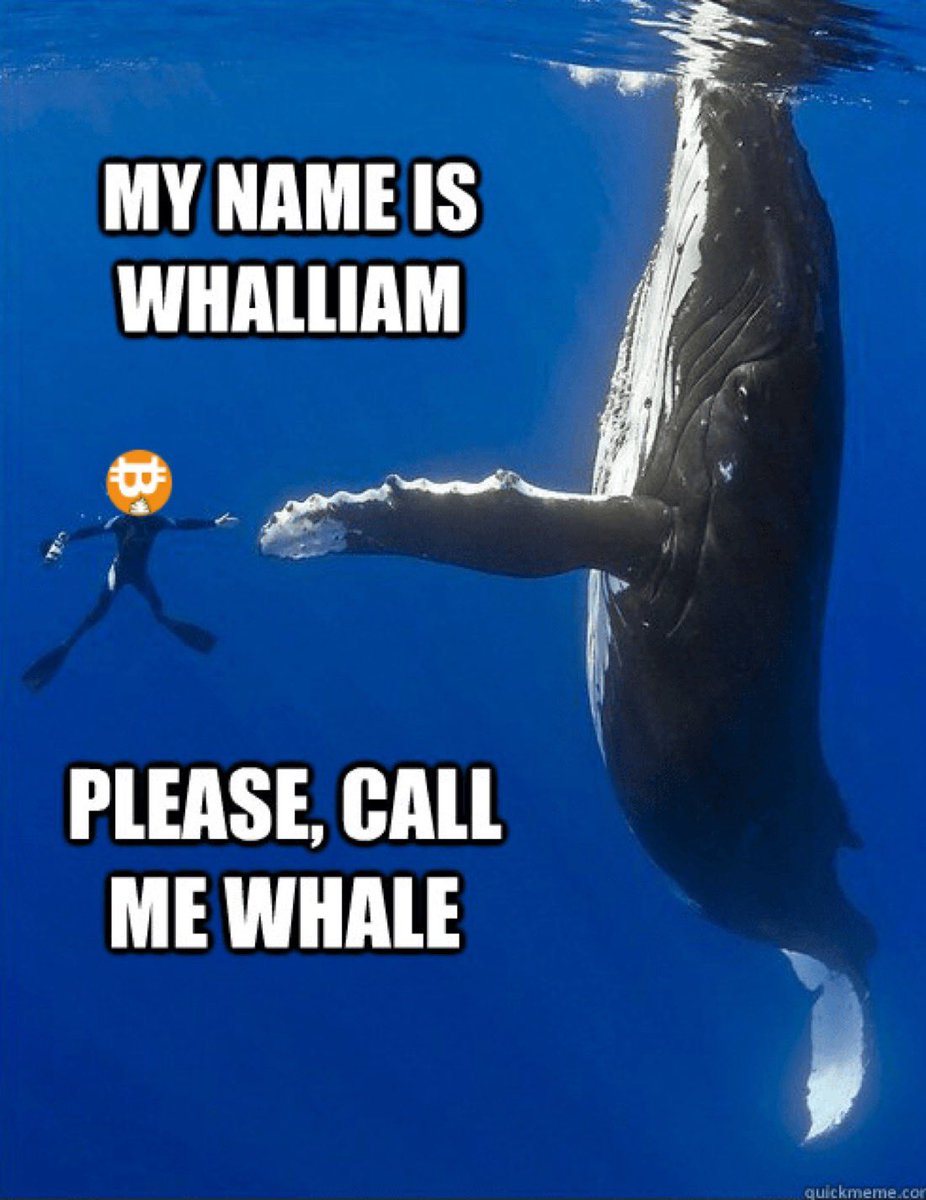 shitcoin™ tweet media