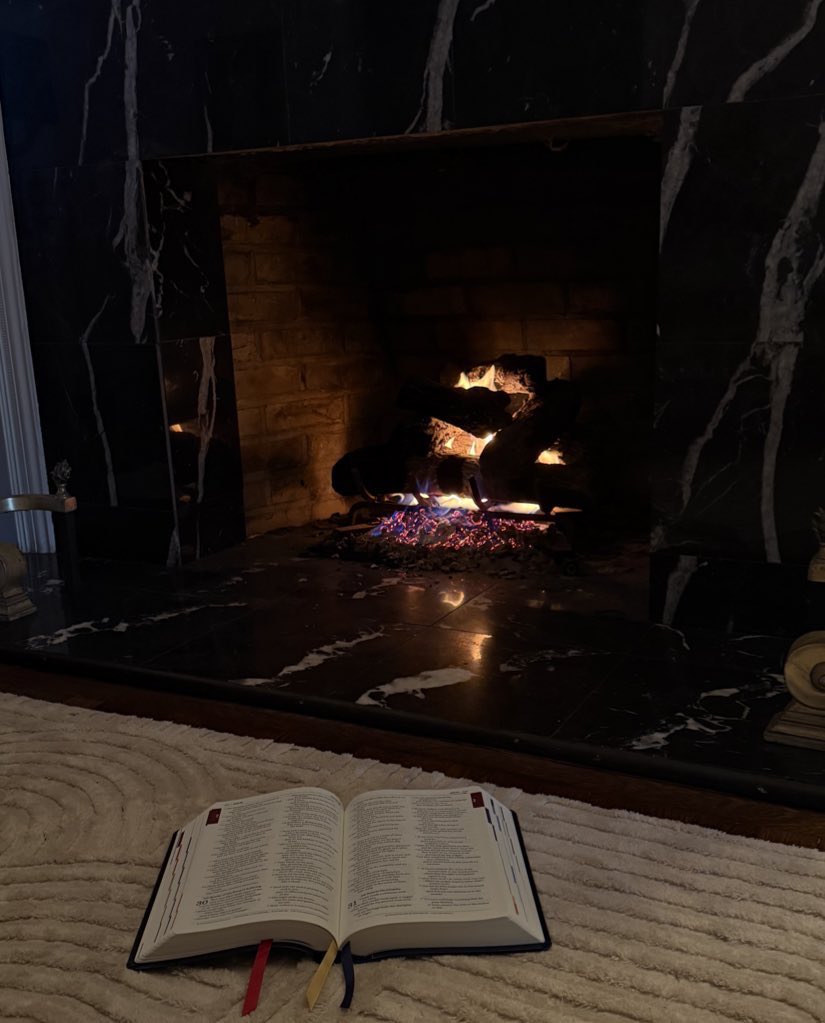 Isabelle Krause tweet media