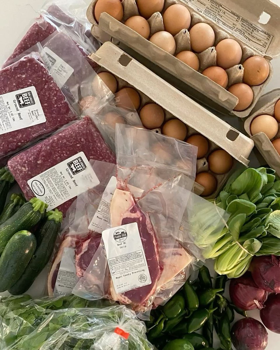 Isabelle Krause tweet media