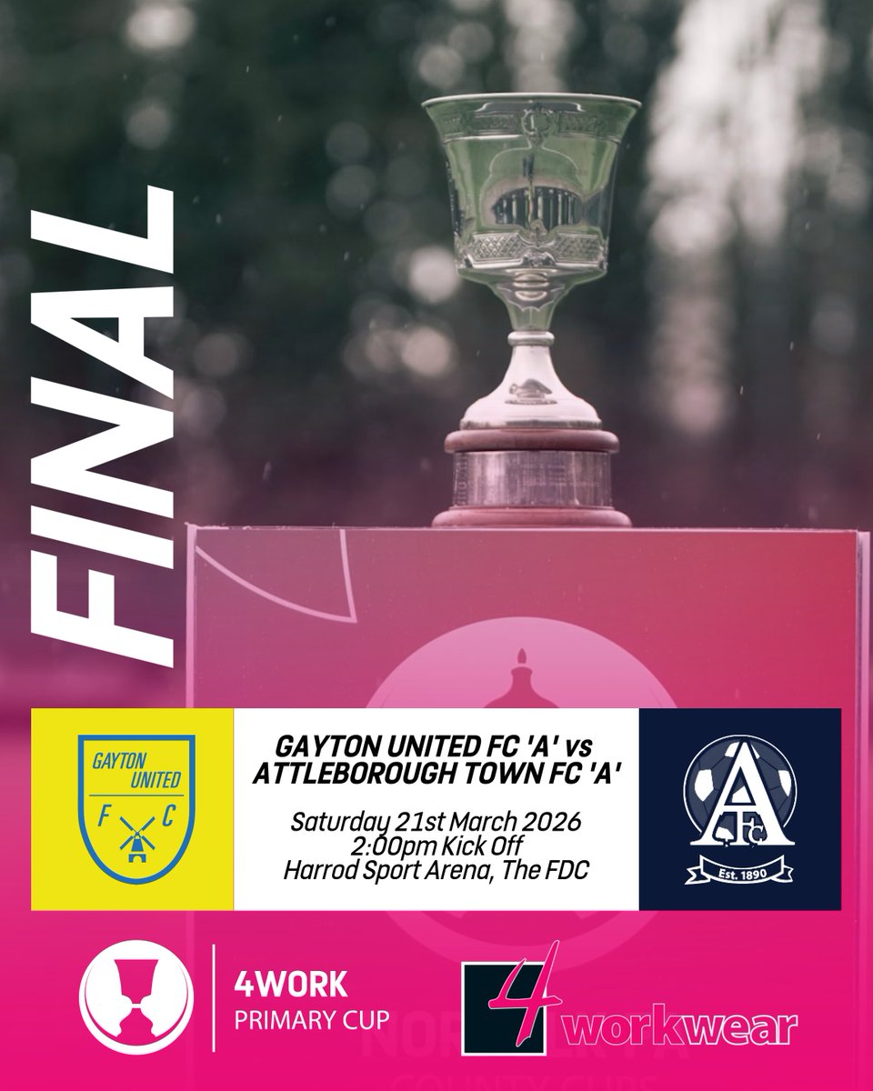 Norfolk FA County Cups tweet media