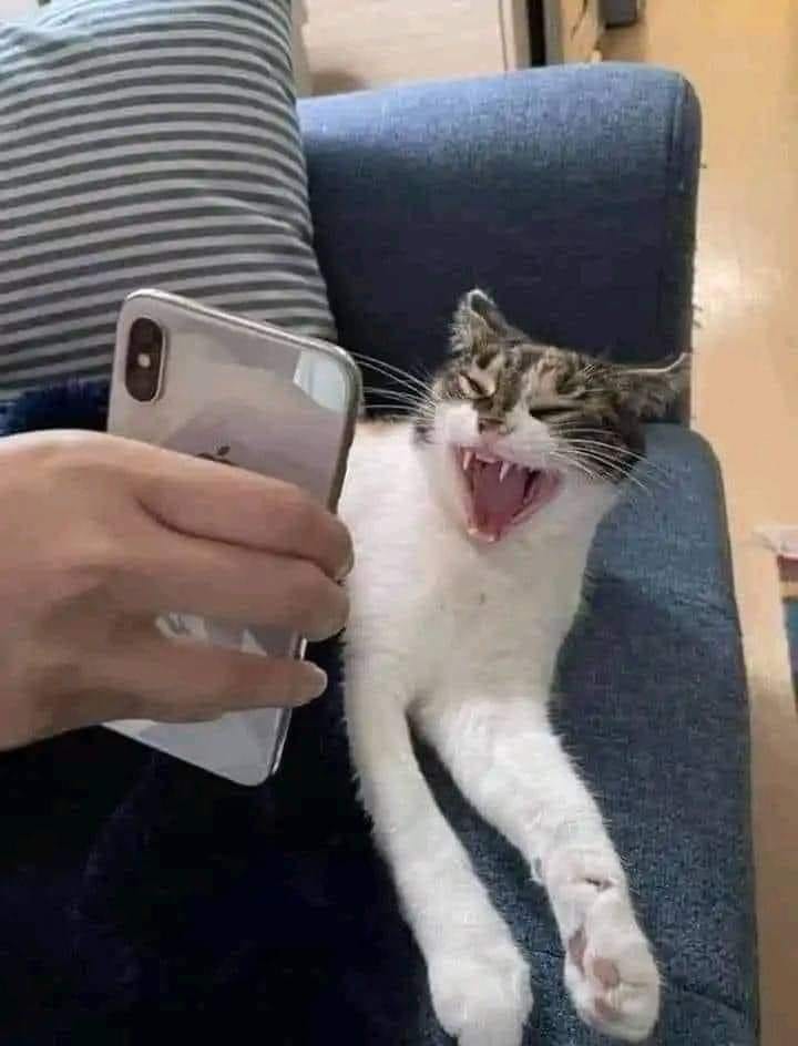 Commander Exorcist tweet media