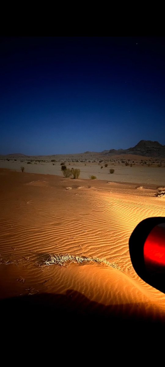 𝗗𝗘𝗖𝗘𝗠𝗕𝗘𝗥 tweet media