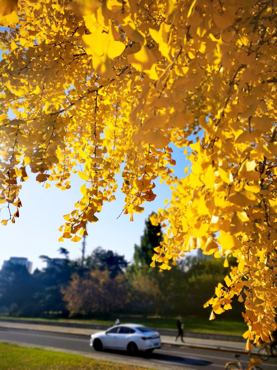 gaby campos tweet media