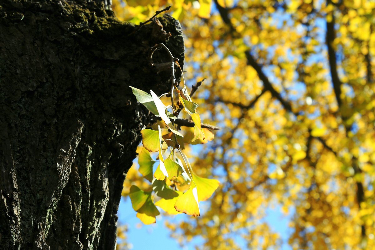 axelle cabon tweet media