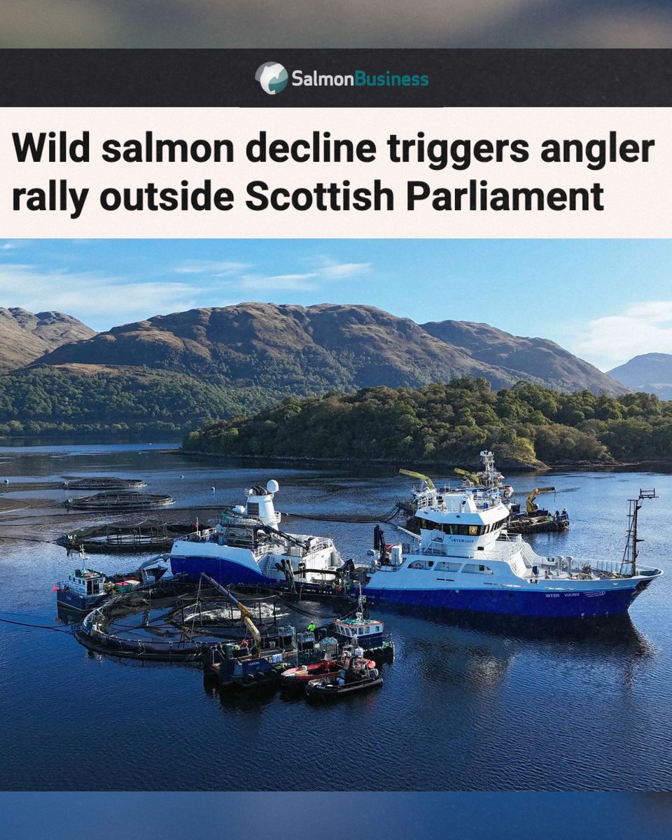 Dale Vince tweet media