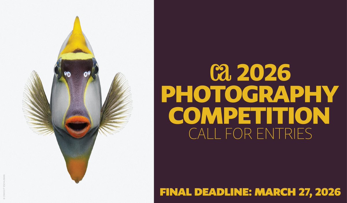 Communication Arts tweet media