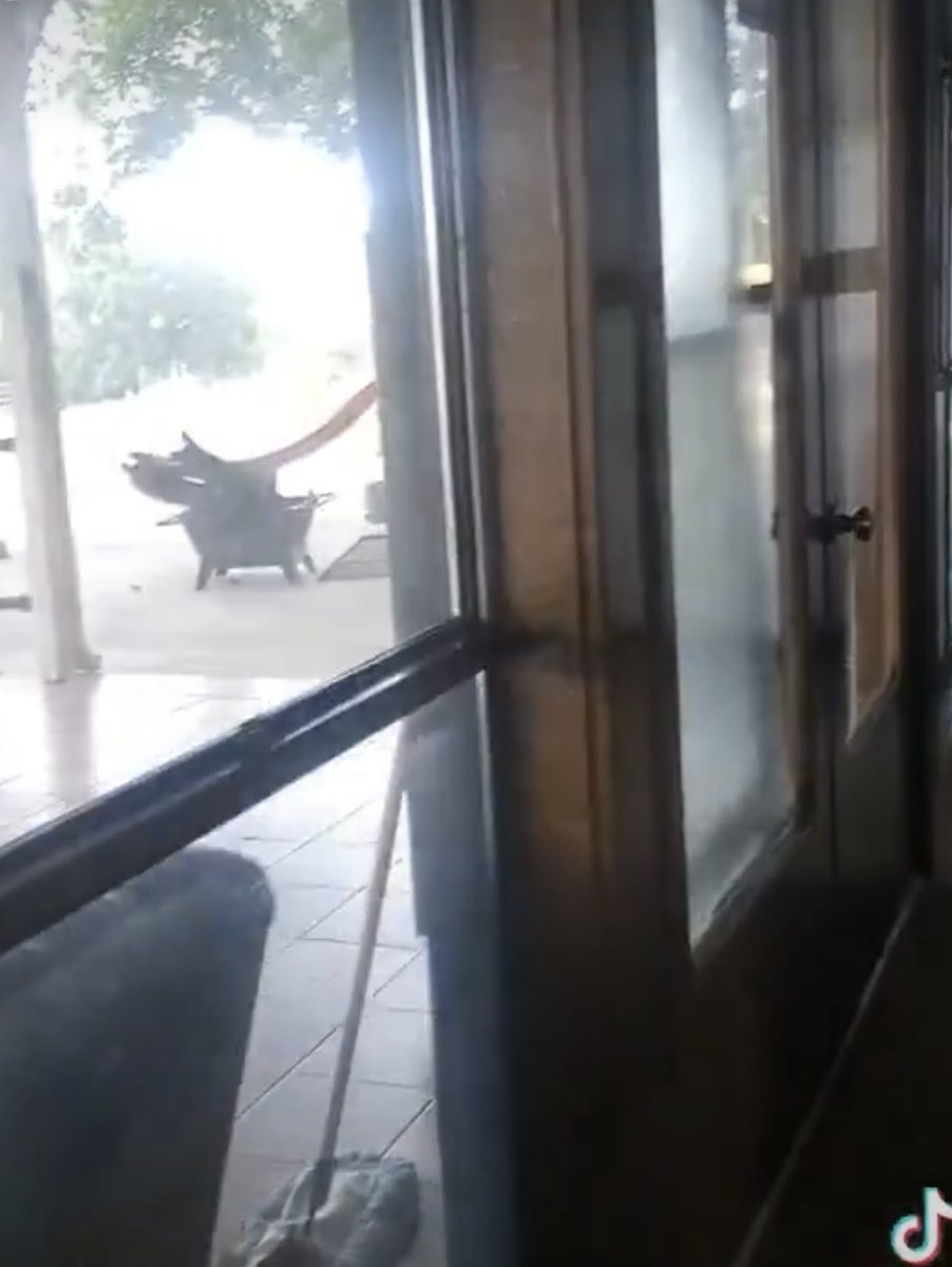 Philadelphia Eagles rule my Sundays 💚🦅 tweet media