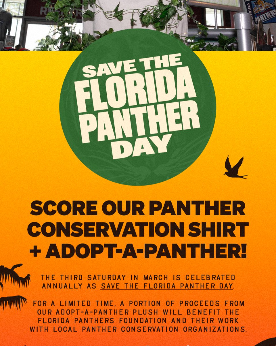 FLA Team Shop tweet media