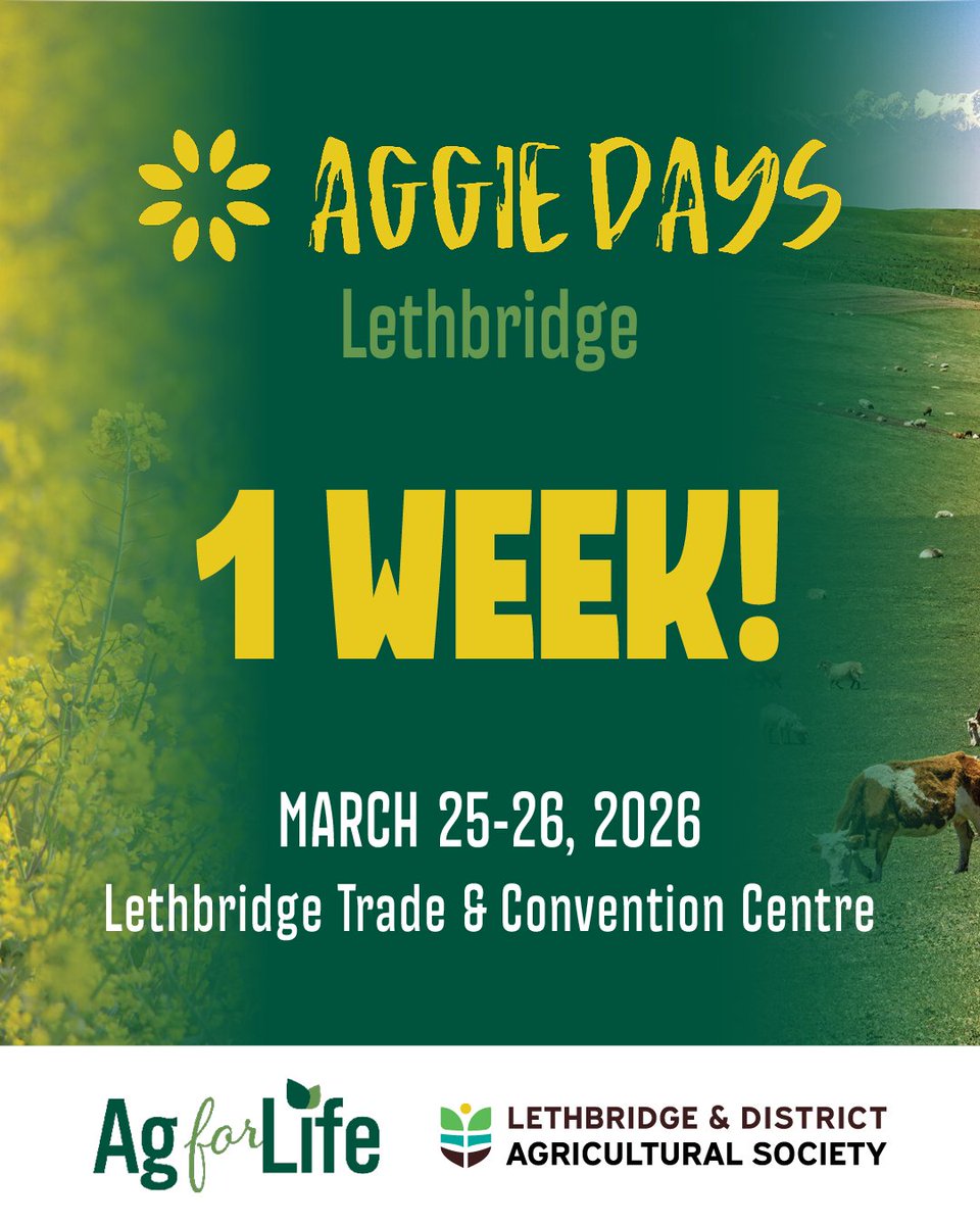 Excite Lethbridge tweet media