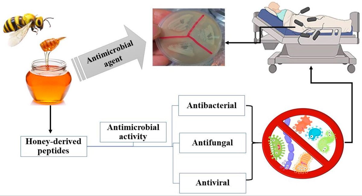 Abud Bakri MD tweet media