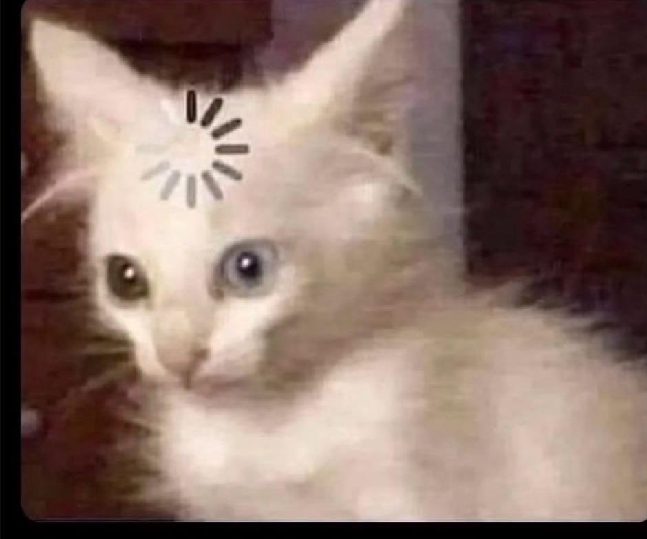 Boluwatife Oke tweet media