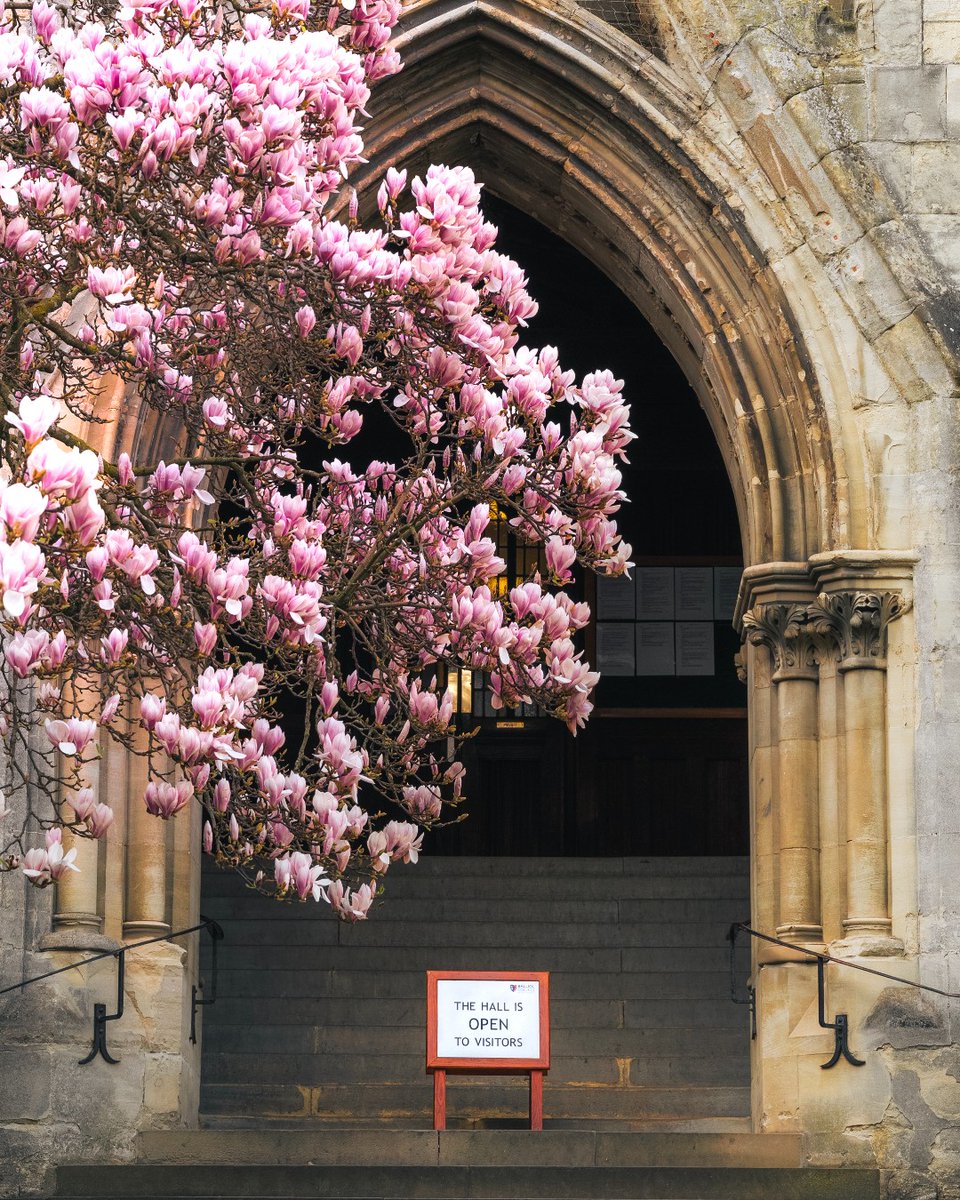 University of Oxford tweet media