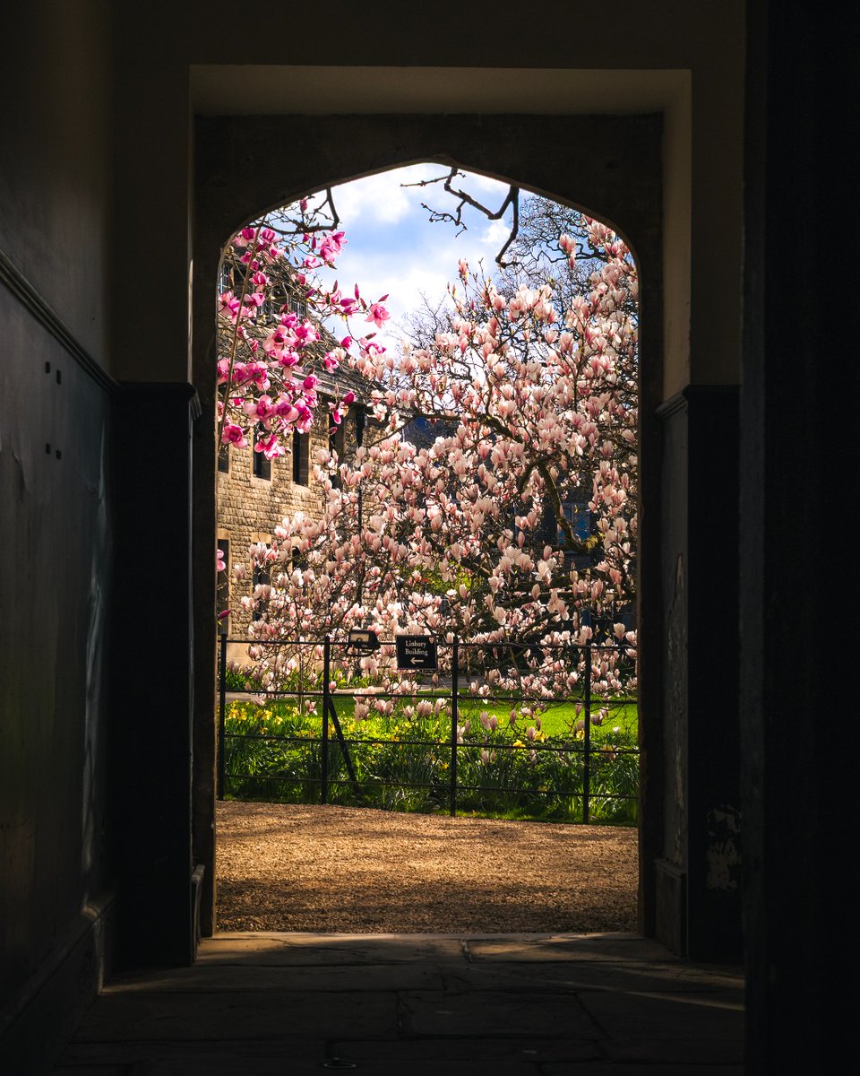 University of Oxford tweet media