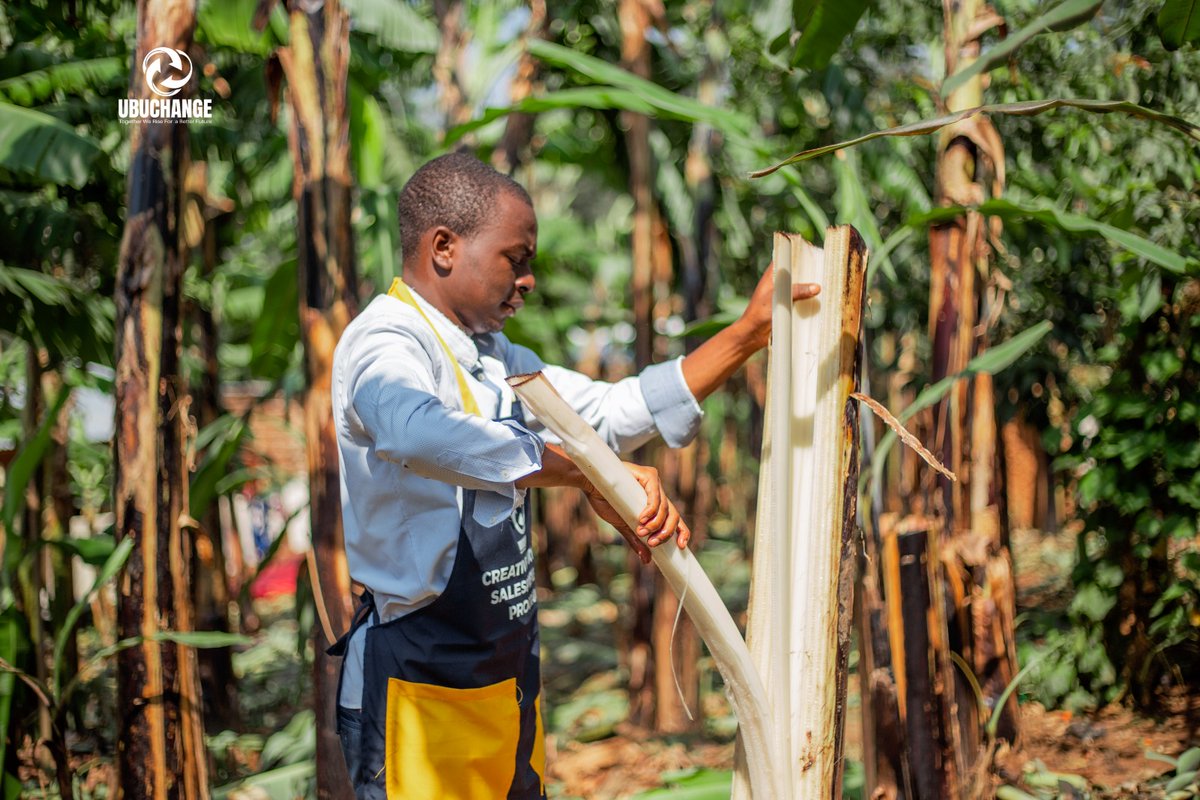 UBUCHANGE tweet media