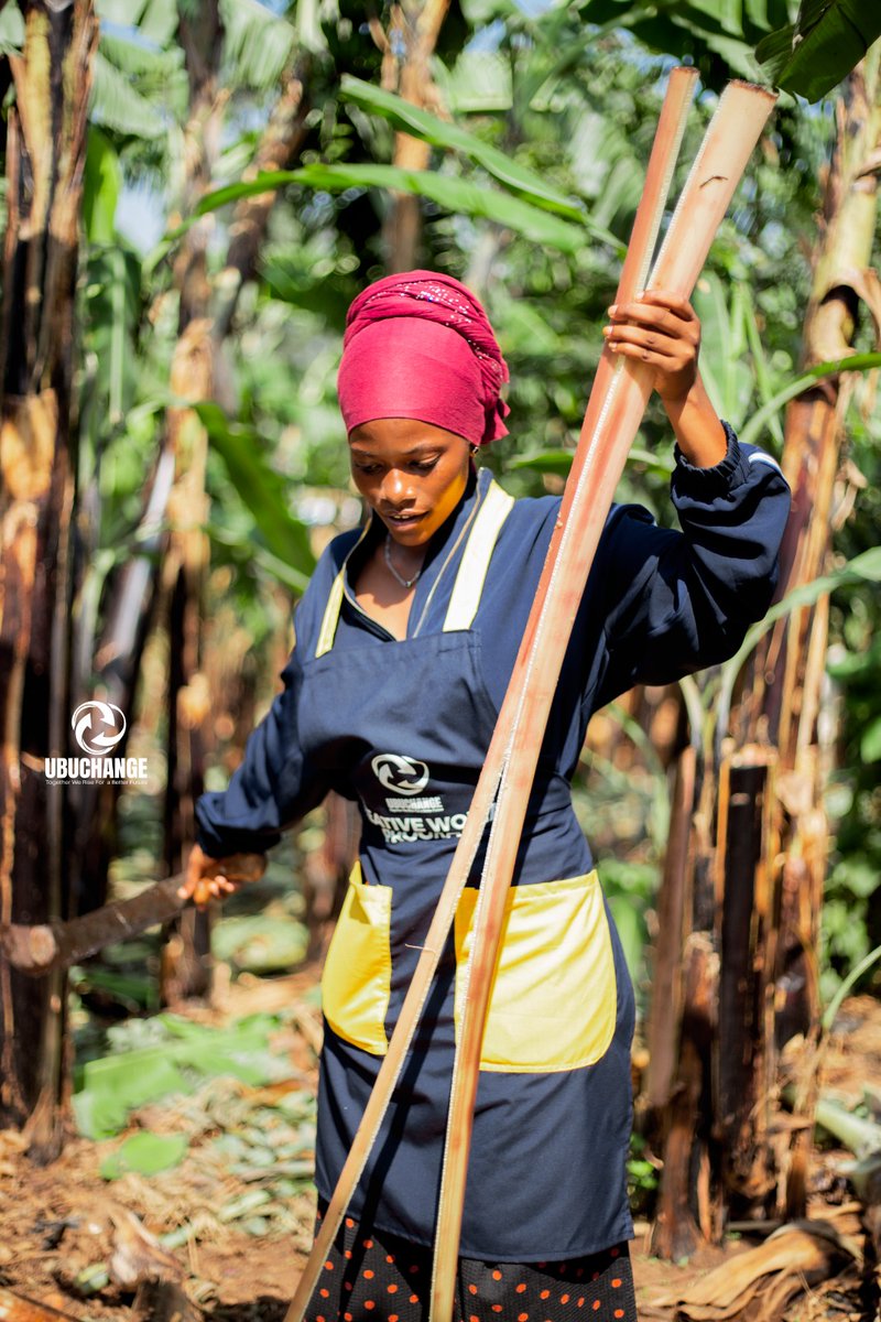 UBUCHANGE tweet media