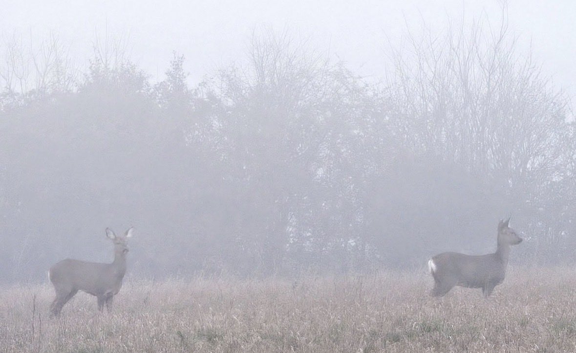 Slarty Bartfast tweet media