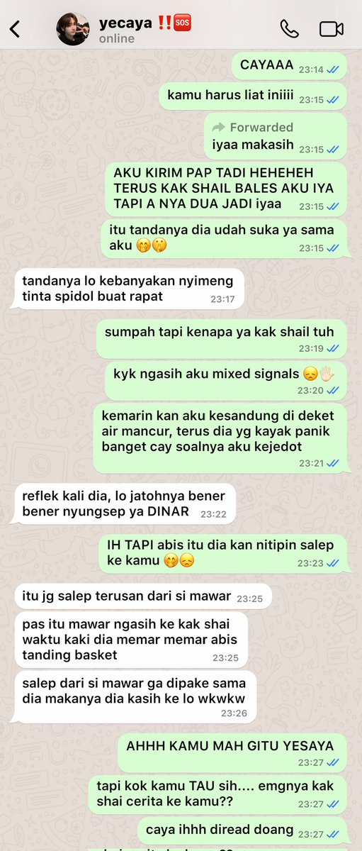 NITDO BASE tweet media