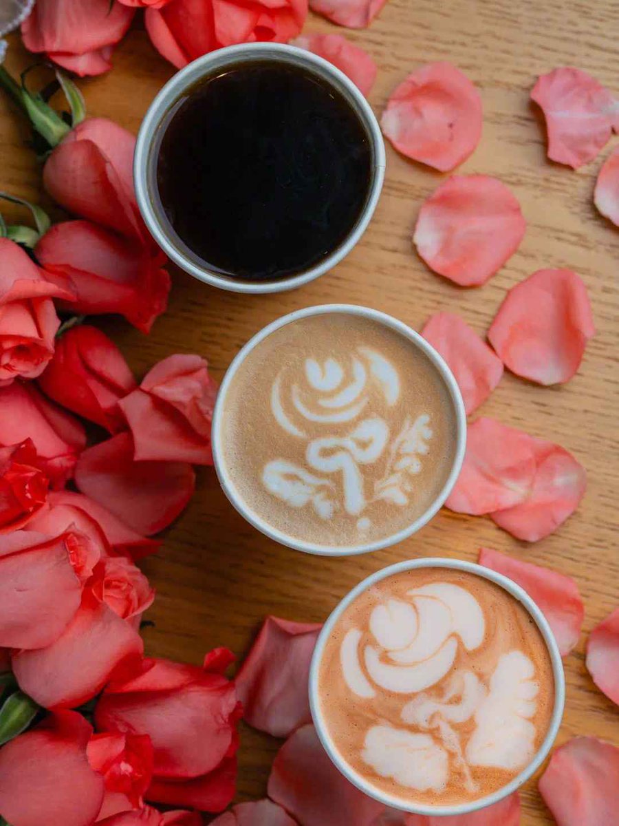 Joni Paakkonen tweet media