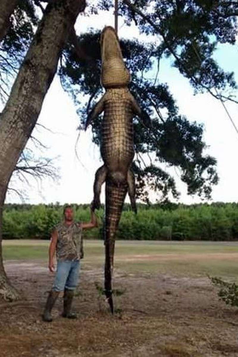 Inbred_Caveman's tweet photo. https://t.co/UizsjQBQpo