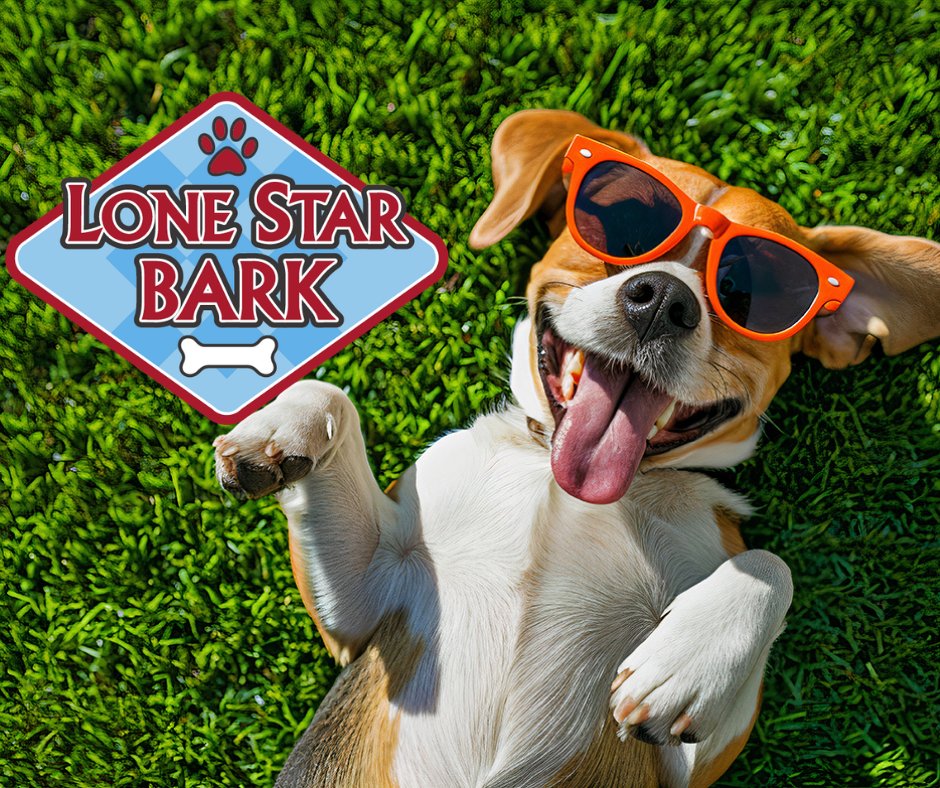 Spay Neuter Network tweet media