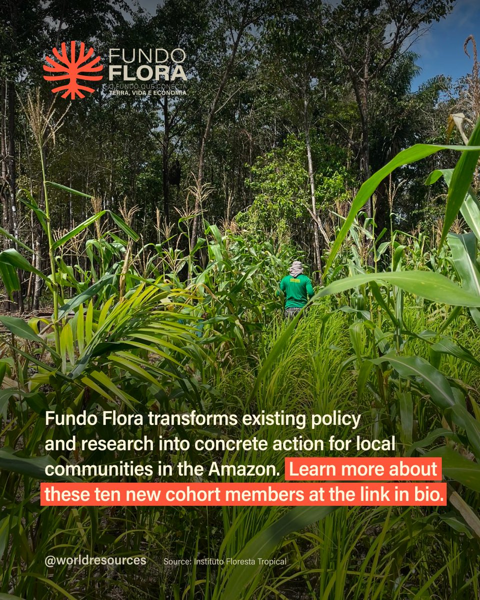 World Resources Institute tweet media