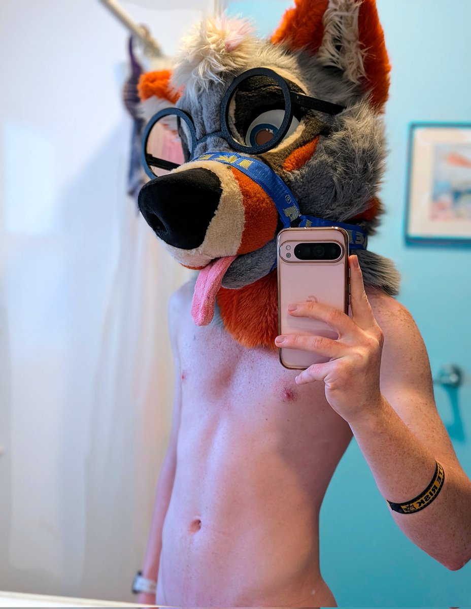 Lucky 🐾 tweet media