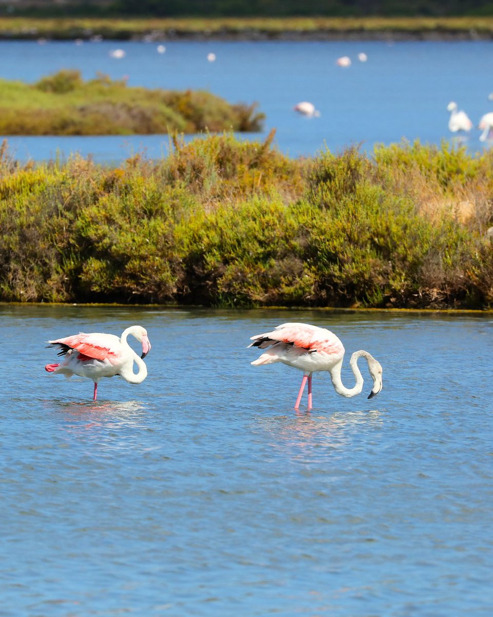 Turismo Illes Balears tweet media