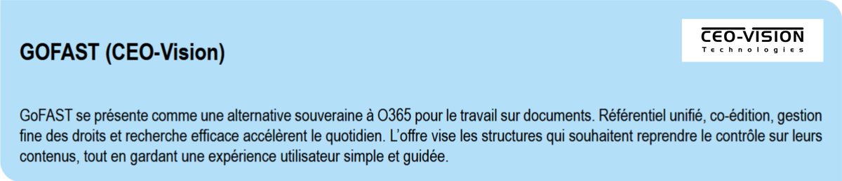 GoFAST de CEO-Vision tweet media