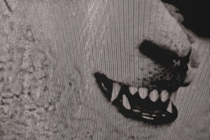  ᴾᴿᴱᵞ 𝕯𝐑𝐈𝐕𝐄 tweet media