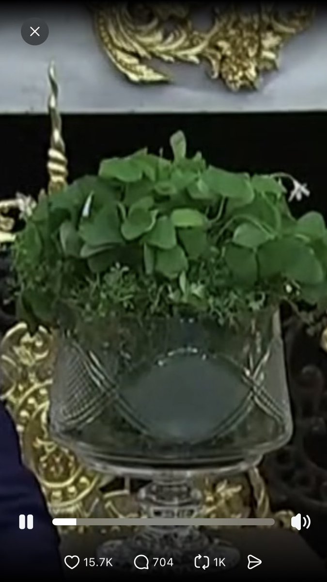 Maureen Boyle tweet media