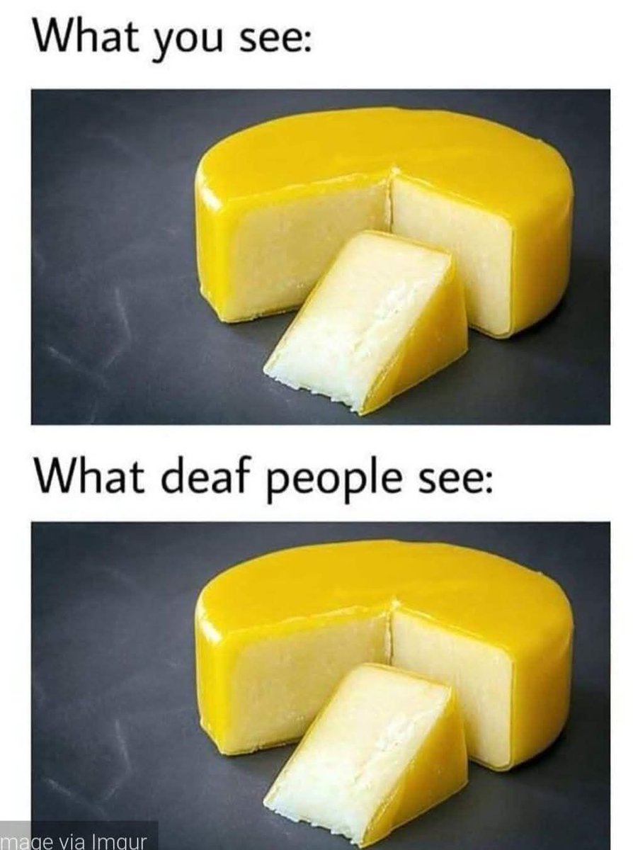 literal memes tweet media