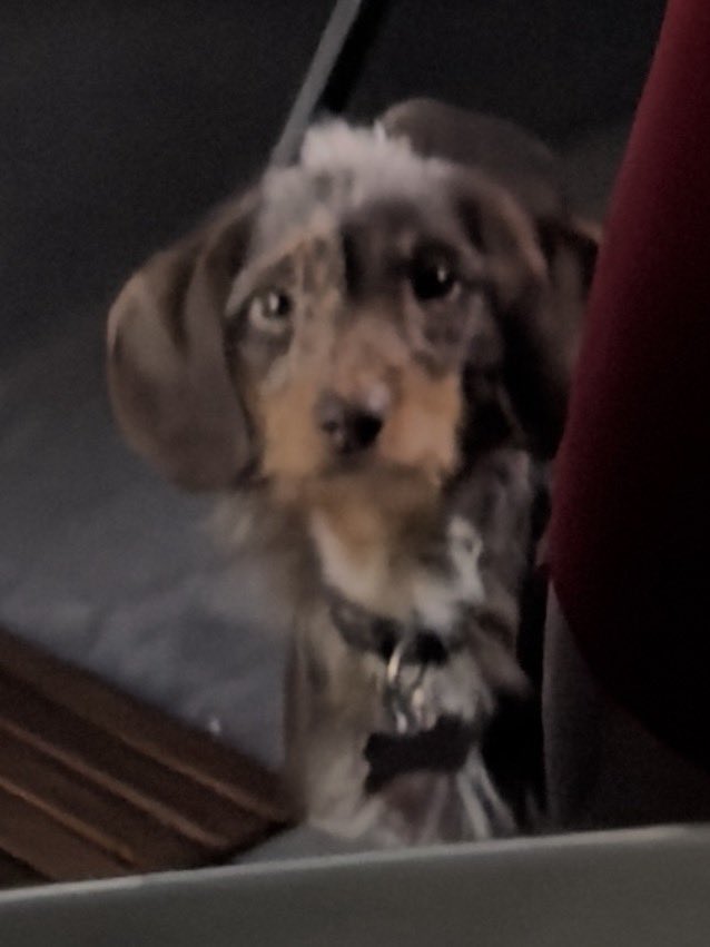 Autumn Ivy tweet media