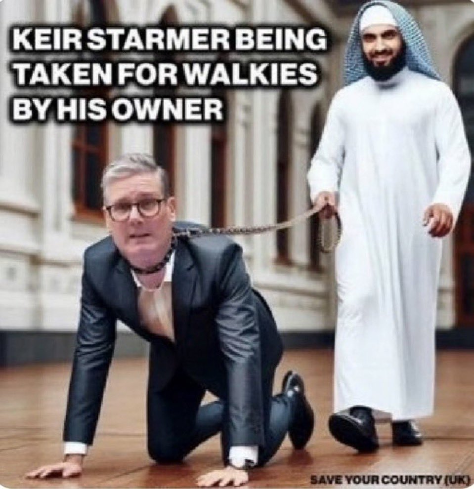 Sensitive Young Saxon tweet media