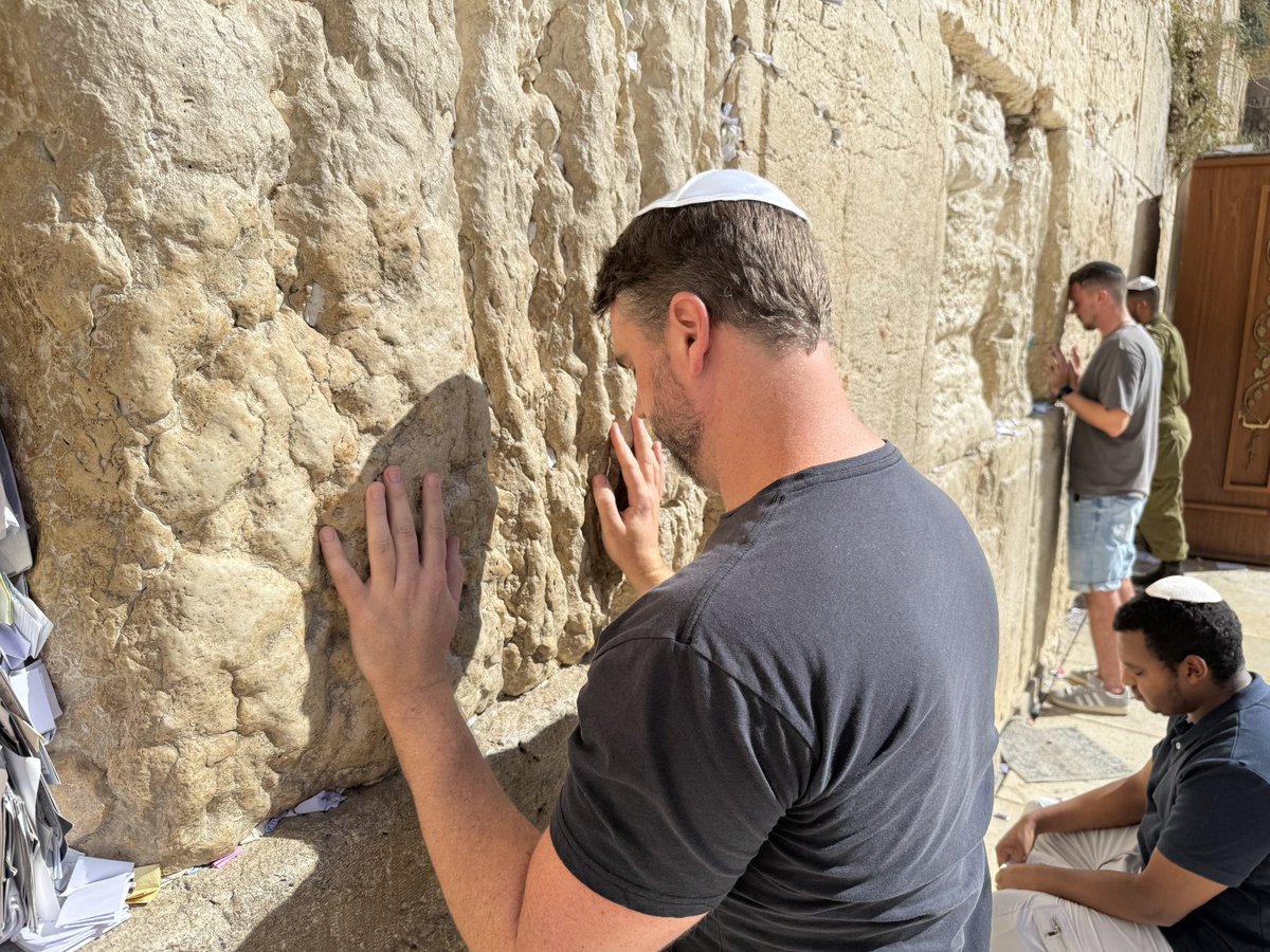 Dr Taylor Marshall™️ tweet media