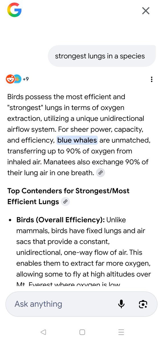 highlydustedmusic tweet media