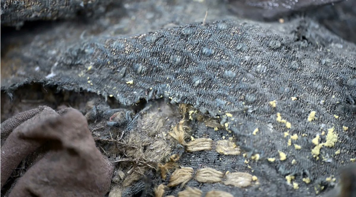 Fake History Hunter tweet media