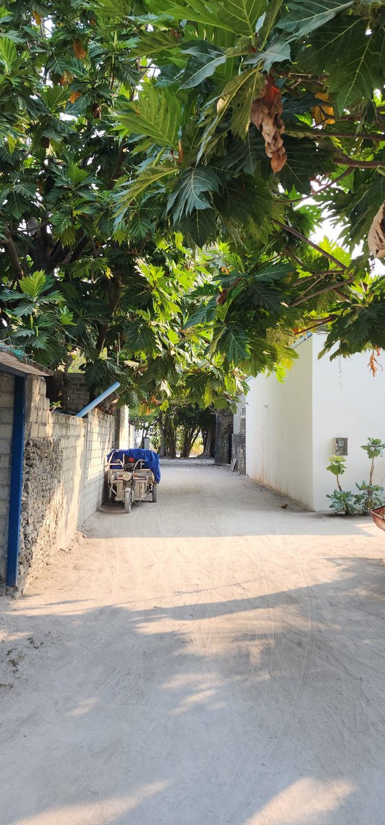 Илья RM3G tweet media