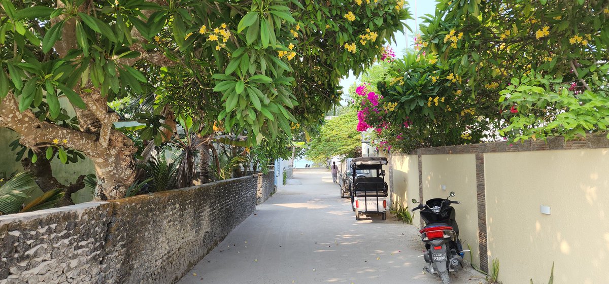 Илья RM3G tweet media