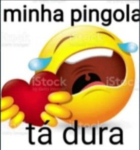 Capivara com asas tweet media