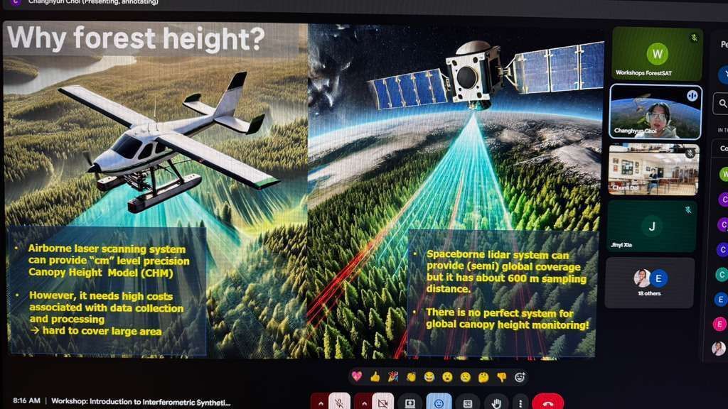ForestSAT tweet media