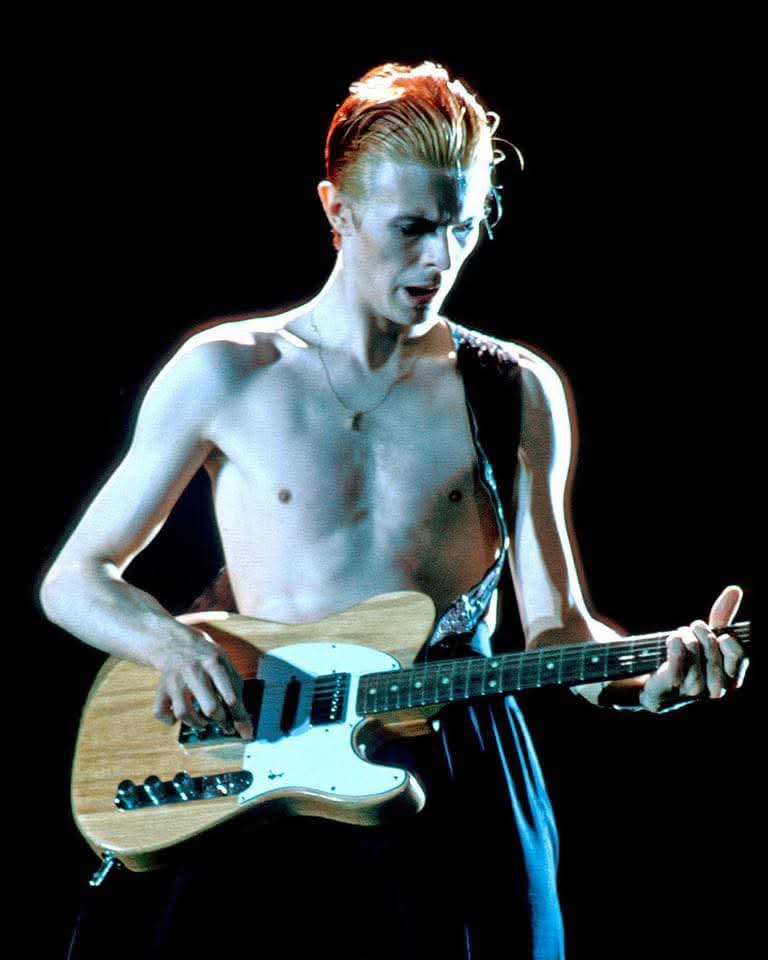 Gun Club Music tweet media