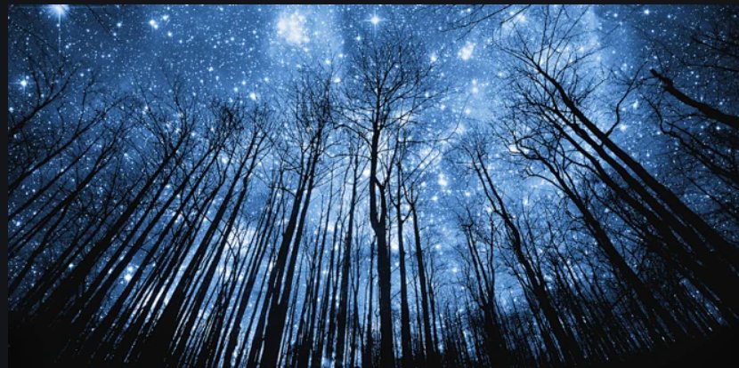 peter soper tweet media