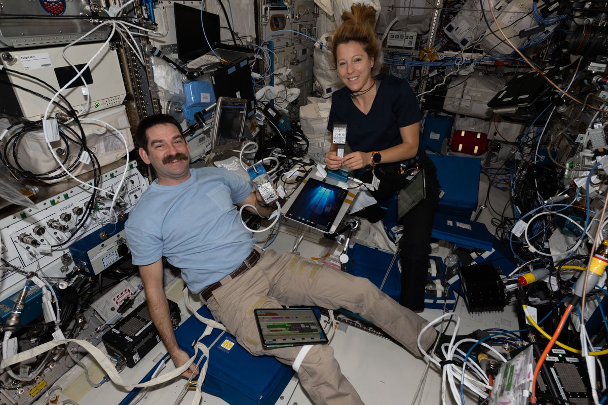 Human Spaceflight tweet media