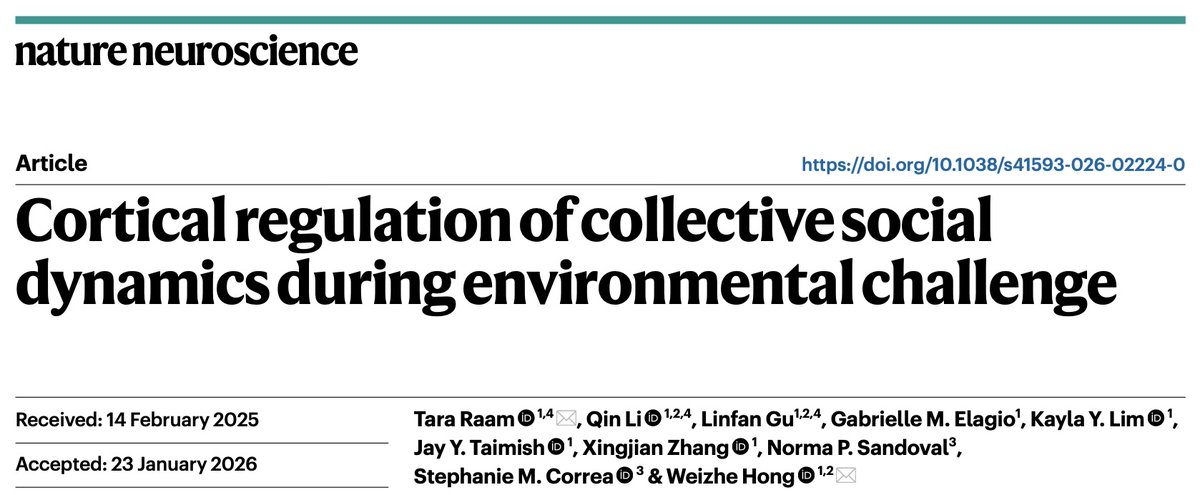 Weizhe Hong tweet media