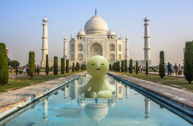 Co2🔛SOL tweet media