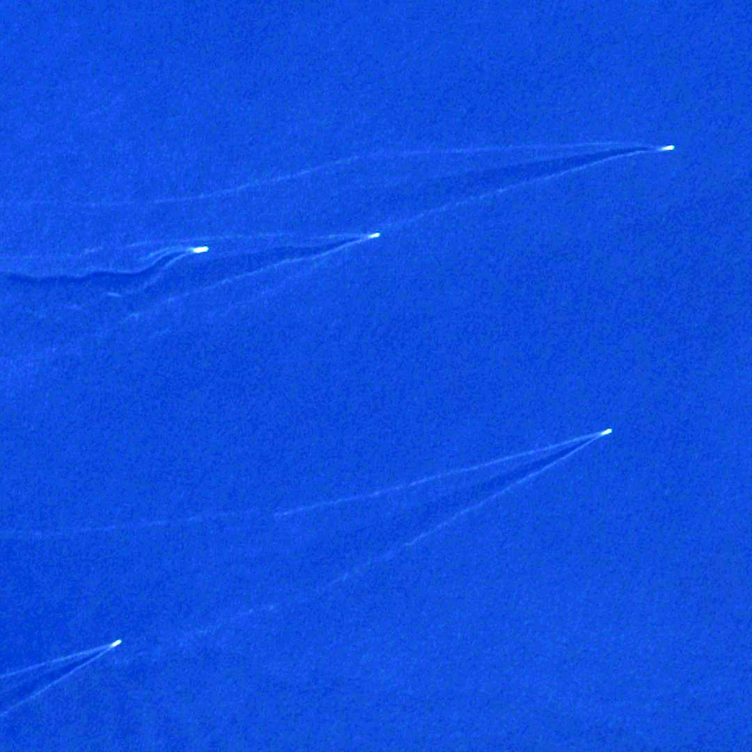 Tom Bike tweet media