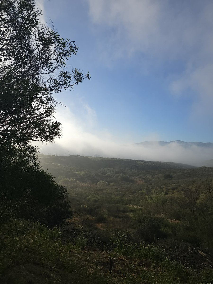 VisorGamer tweet media