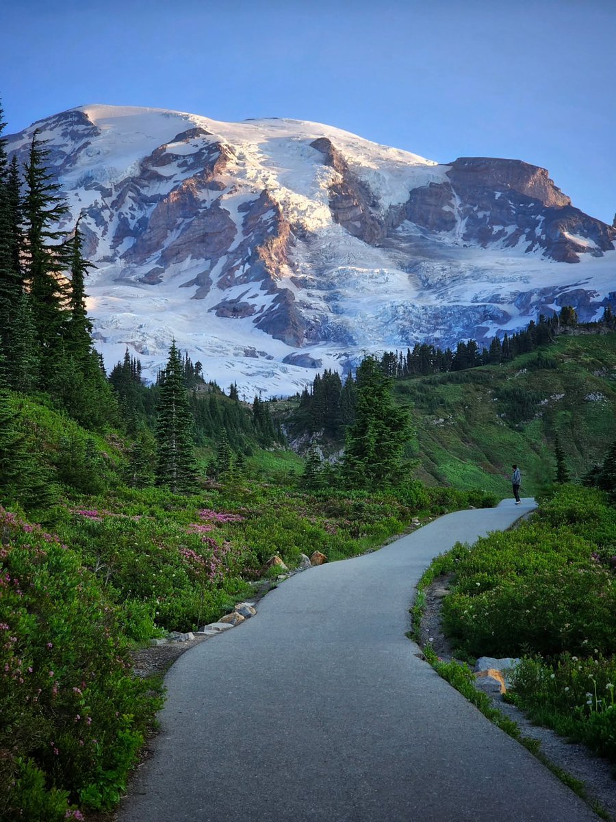 𝘄𝗮𝗻𝗱𝗲𝗿𝘁𝗿𝗮𝘃𝗲𝗹𝘀 tweet media