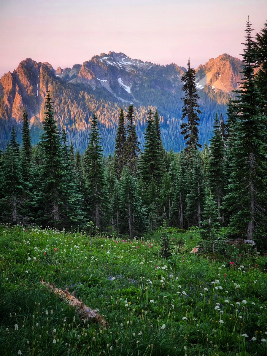 𝘄𝗮𝗻𝗱𝗲𝗿𝘁𝗿𝗮𝘃𝗲𝗹𝘀 tweet media