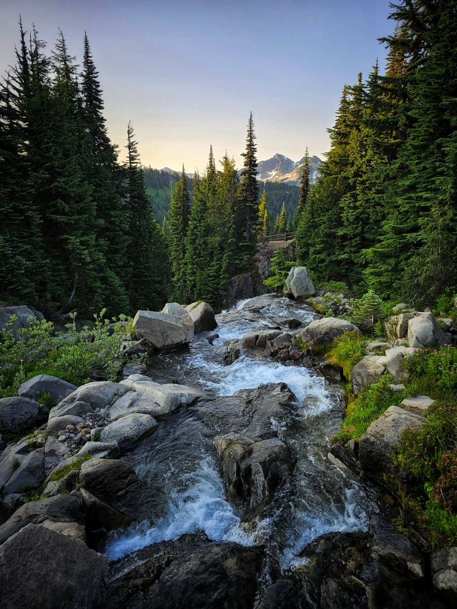 𝘄𝗮𝗻𝗱𝗲𝗿𝘁𝗿𝗮𝘃𝗲𝗹𝘀 tweet media